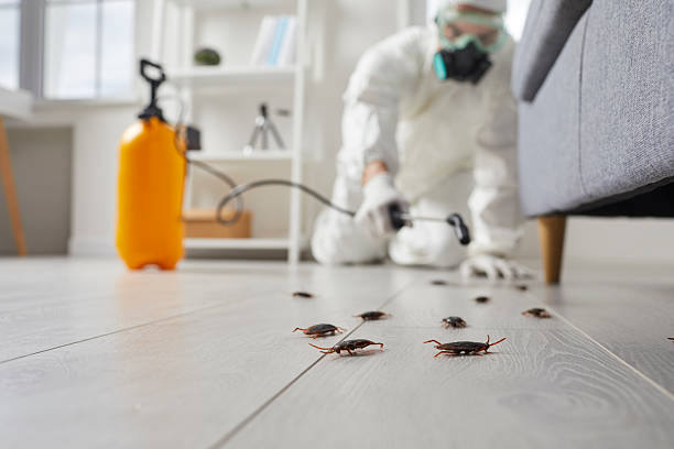 Commercial Kitchen Cockroach Control in Fairmount Heights